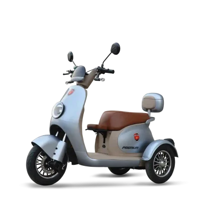 Metro Premium electric bike in silver color featuring Lithium Iron Phosphate battery – EV bike in Pakistan.
