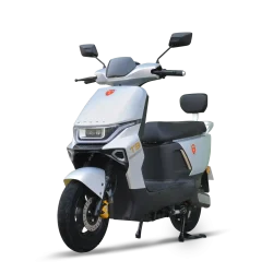 Metro T9 Sport Lithium silver electric bike with Lithium Iron Phosphate battery in Pakistan.